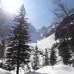 Lejlighed Apartmenthaus Edelweiss In Gosau