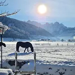 Apartmenthaus Edelweiss In Gosau Apartment *