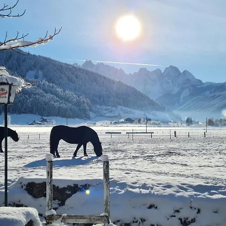 Apartmenthaus Edelweiss In Gosau Apartment *