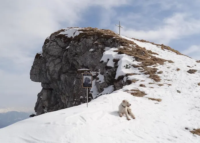 Apartmenthaus Edelweiss In *