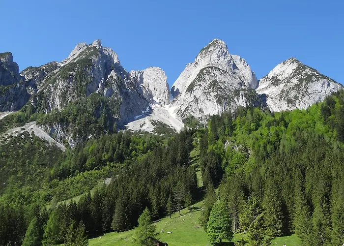 شقة Apartmenthaus Edelweiss In *