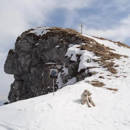 Apartmenthaus Edelweiss In *